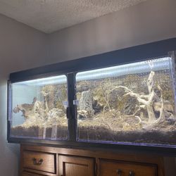 Fish Tank
