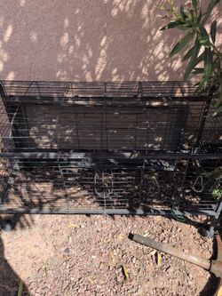 Bunny cage