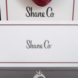 Engagement Ring From Shane Company