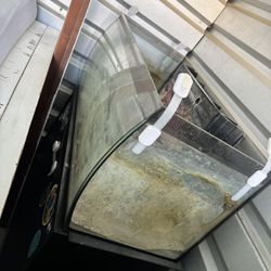 32 Gallon FLUVAL Saltwater Setup 