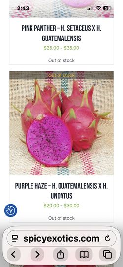 Dragon Fruit Cutting