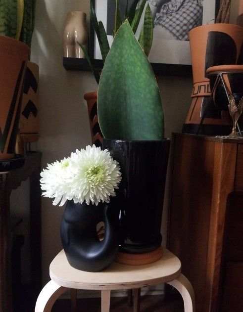 Black Ceramic Bass Fish Flower Pot