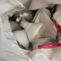 Bag full of light bulbs about fifteen of them
