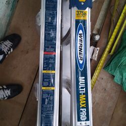 Werner Ladder
