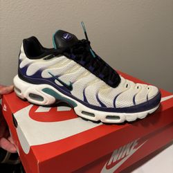 Nike air max plus size 10