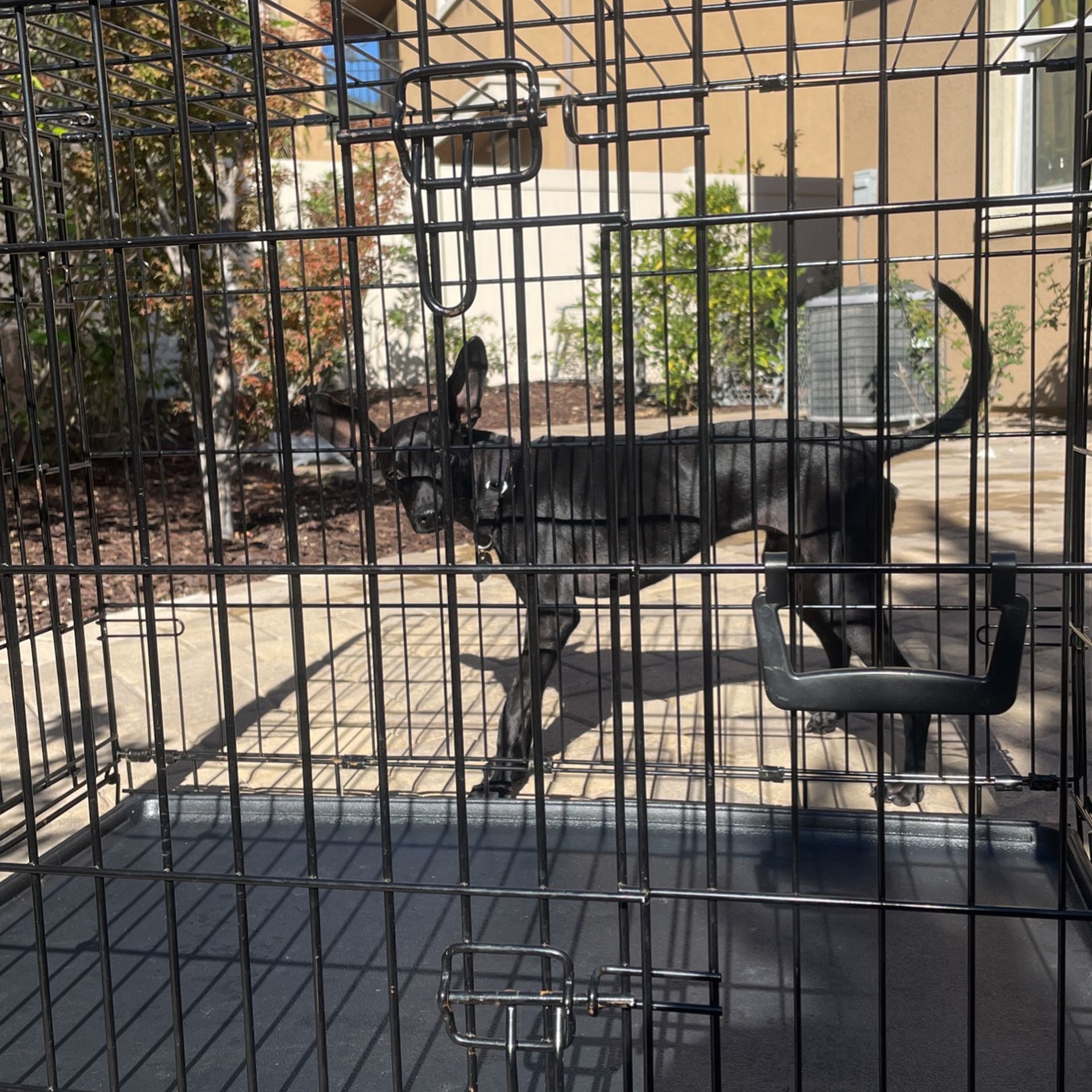 Midwest Life Stages 1636 DD Dog Crate for Sale in Lake Forest, CA OfferUp
