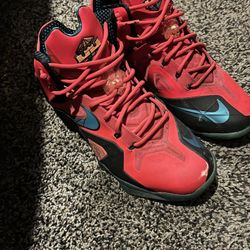 Special Edition Lebrons