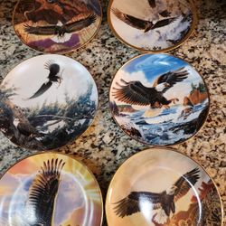 6 Collectible Wildlife Plates.  One Low Price 