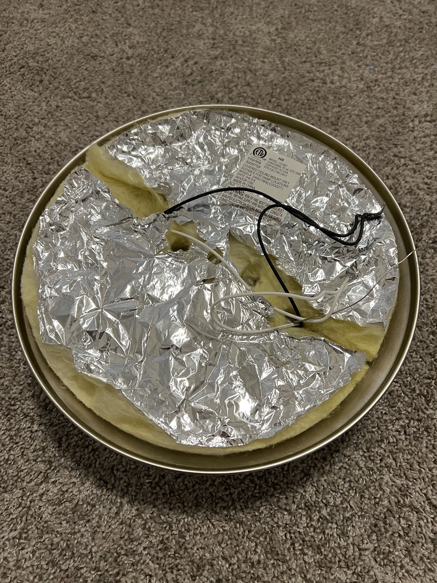 Trans Globe Ceiling Fixture