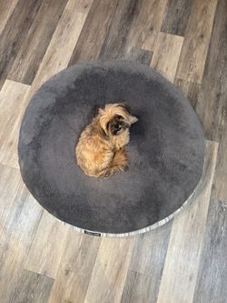 XL Dog Bed