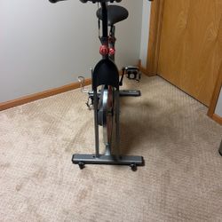 Sunny Exercise Bike