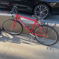Raleigh Bike