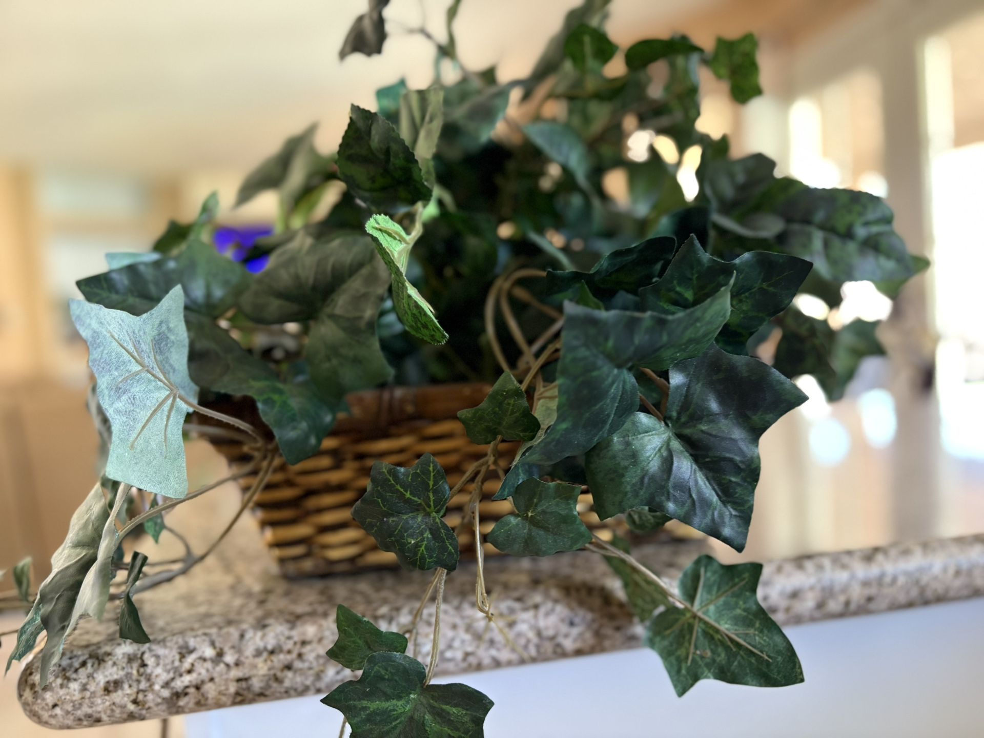 Faux Ivy Plant