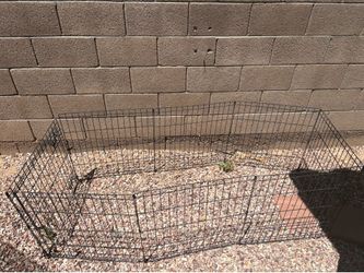 Dog fence