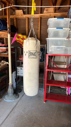 punching bag