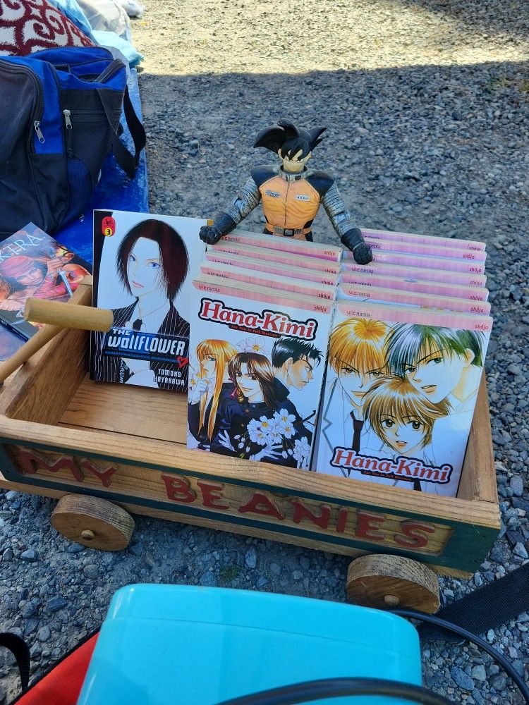 Anime Books Hana Kimi