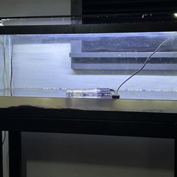 20gl Long Tank And Stand Plus Marinland 360 Canister Filter