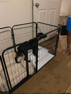 Stainless Steel Multi-Functional Indoor Dog Still in the box
