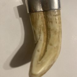 Bear Tooth Pendant