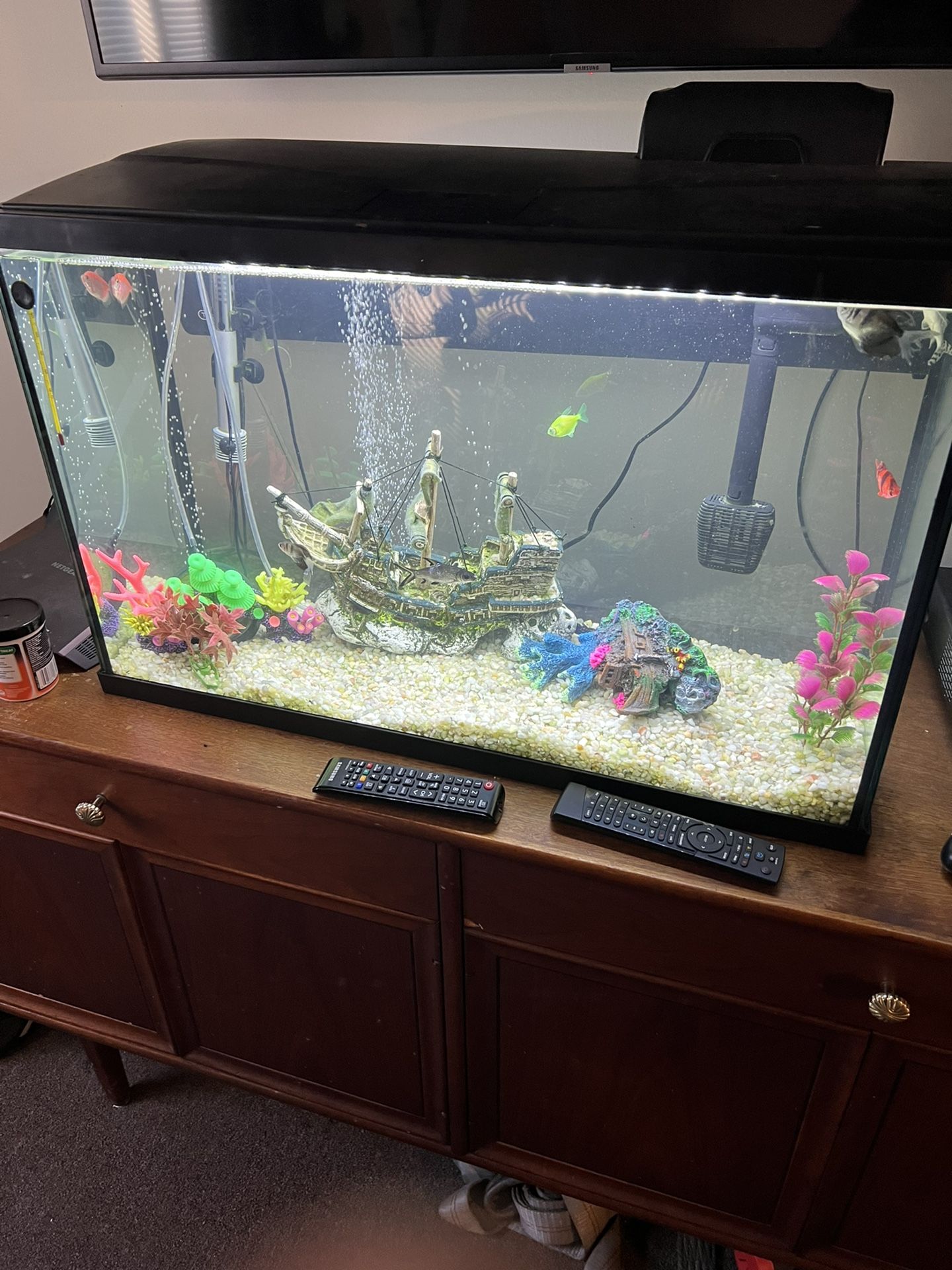 30 gallon fish tank