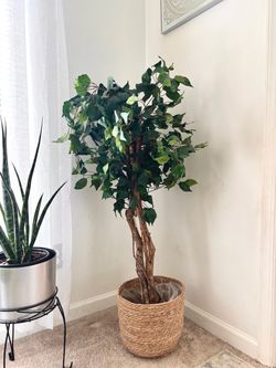 Beautiful Ficus Artificial Tree 3.8 ft
