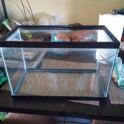 10 Gallon Aquarium