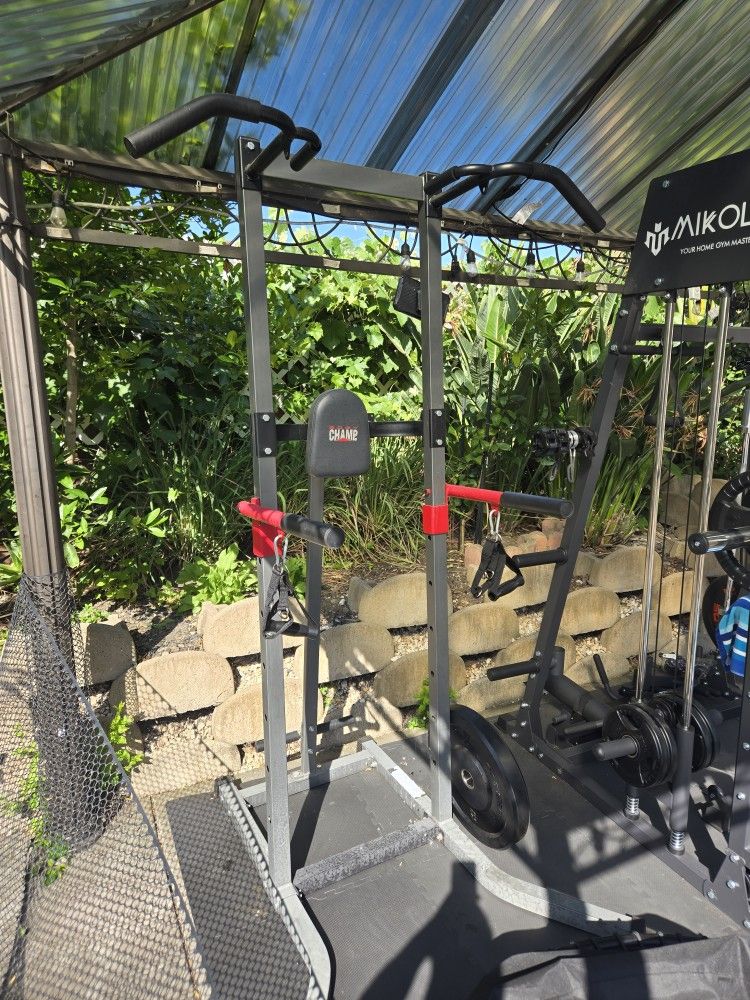 Body Champ 5-in-1 Power Tower and Dip Station - Home Gym Equipment