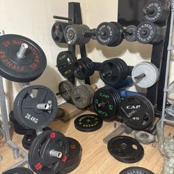 Olympic Plates 2inch Read Description 