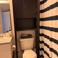Toilet Shelf