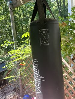 Venom Boxing Bag Gloves Included