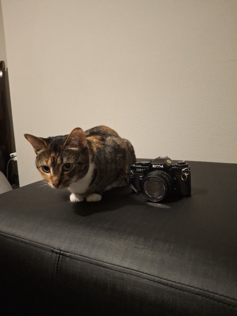 Ricoh Xr7 Camera With 50mm Lens