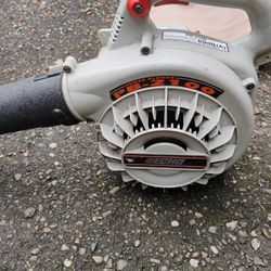 Echo Gas Powered Leaf Blower