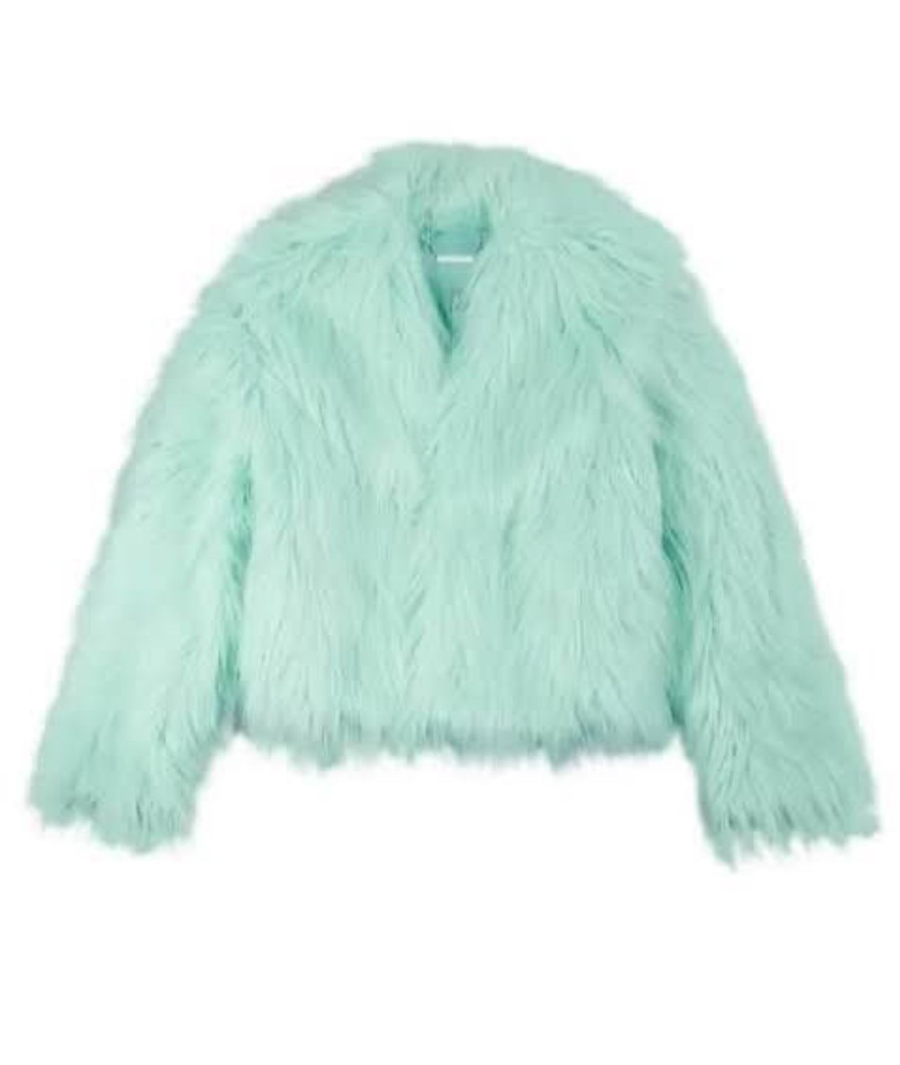Taylor Swift Fur Coat 