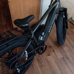 XPeak2 High-Step Long-Range eBike