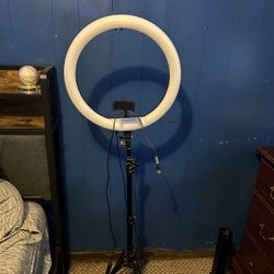 Ring LED (NEW- 2025)