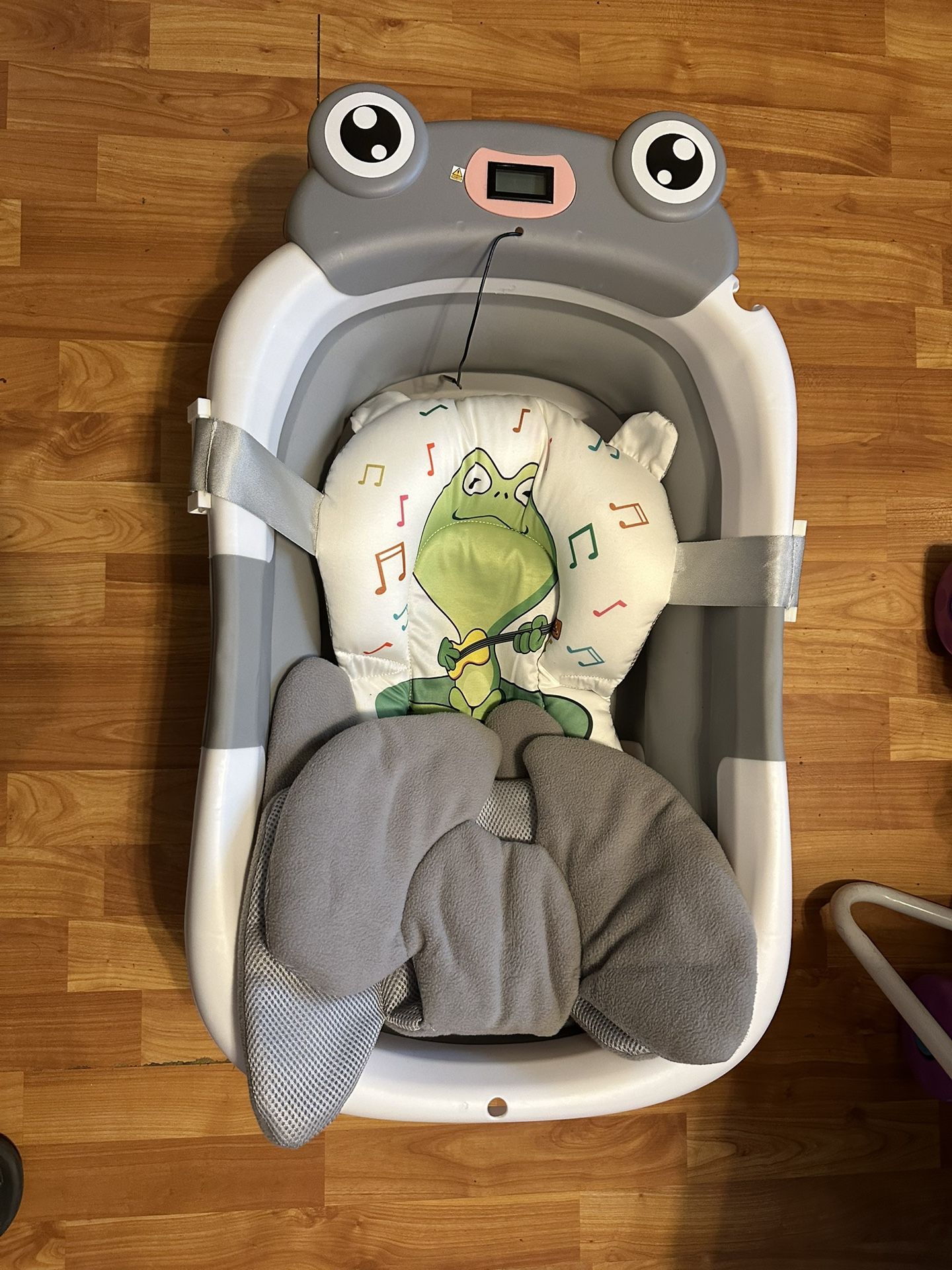 Frog Bathtub