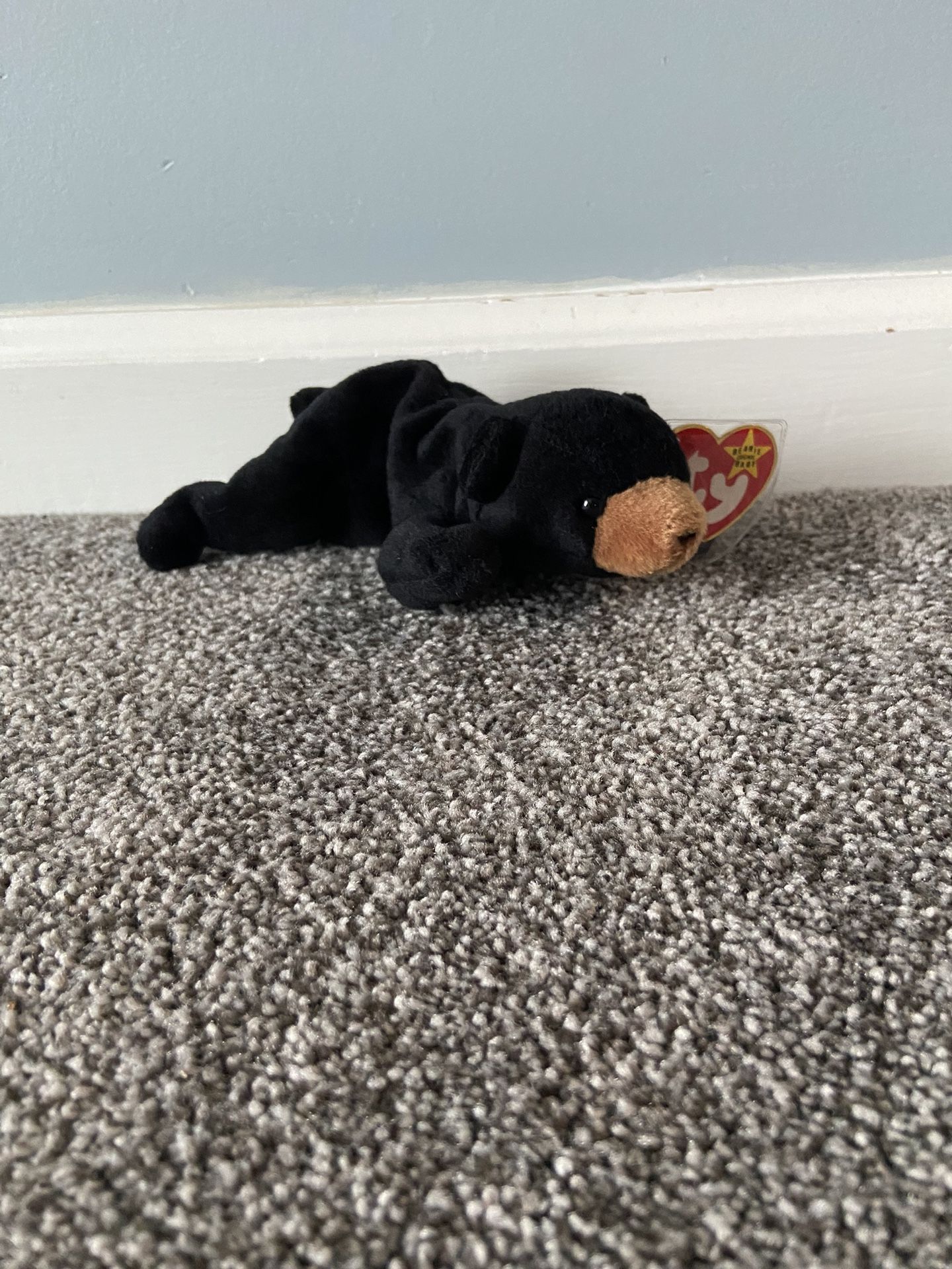 The Beanie Babies Collection