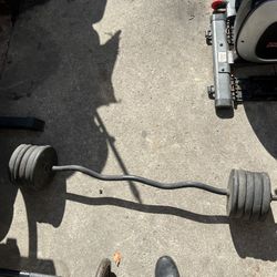 Standard curved barbell with weights 
