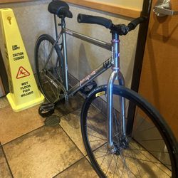 Master Fixie (Read Description)