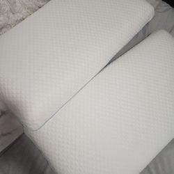 Resident Pillows
