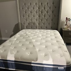 Queen Size mattress ONLY 