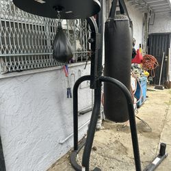 Everlast Boxing Bag w/ Speed Ball