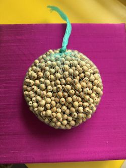 natural loose açaí seeds (with holes drilled) for jewelry making