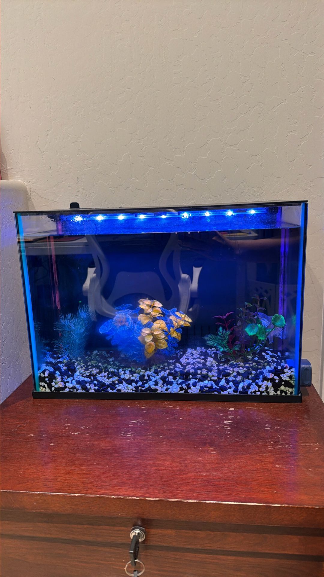 Top Fin Fish Tank