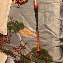 Youth Ignitor Baseball Bat