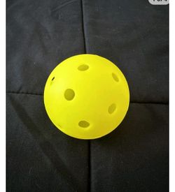 Pickleball Balls Indoor (15 Count)