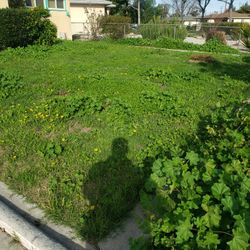 Jardinero