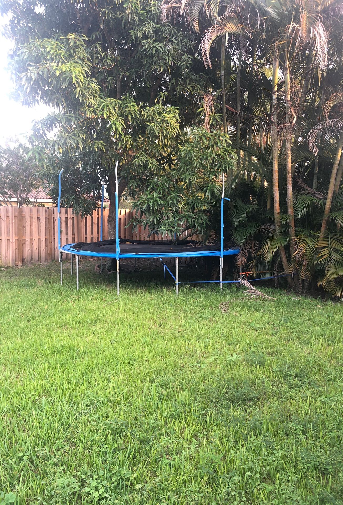 Large trampoline