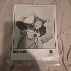 Dumb and Dumber Actual Movie Photograph