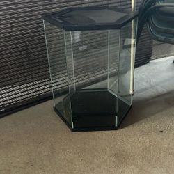 Reptile Enclosure 